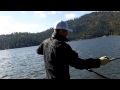 This Is Why I Fish P-Line