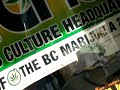 Marijuana party