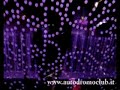 Gran Festa di San Silvestro