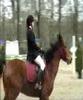 CSO CE Laval 12.03.06 E2 -- Camille Soler - Loden CSO CE Laval 12.03.06 E2 -- Camille Soler - Loden