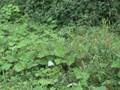 videos de David Grm - Velenje