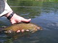 Fly Fishing in Poland (A Canadian Fly Fisher\