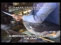 Ver Video