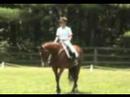 SOLD!  Roxanne Dressage Show  SOLD!!