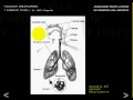 FISIOLOGIA CARDIOPULMONAR Y EJERCICIO 5