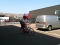 Mascotte Leolijntje arriveert