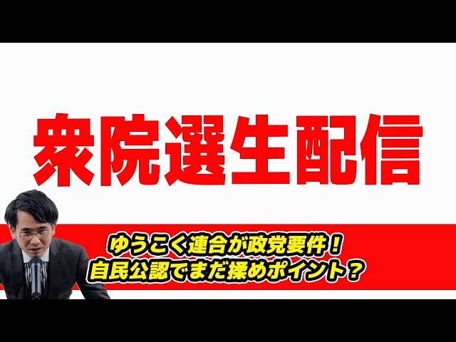 山本期日前が「遊国連合の候補者擁立と比例代表の略称問題」を解説