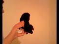 Ongar The Monkey 6