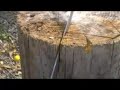 Darksword Armoury Sword vs Woodblock Darksword Armoury Sword vs Woodblock