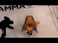 Fedor will Return. Affliction-Day of Reckoning. vs Arlovski