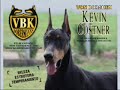 Dobermann - Nossos Campeões - Parte III Dobermann - Nossos Campeões - Parte III