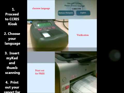 how to obtain ccris report