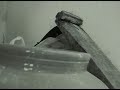 BHOOT trailer