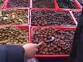 European Culinary Tour - Italy