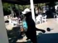 videos de Borracho- Las Bocas Sonora.3GP