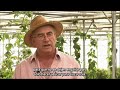Josep Pàmies és un campesino catalán (Balaguer, Lleida) que hace 15 años abandonó los métodos modernos de cultivo con uso abundante de químicos y pesticidas, para pasar al cultivo ecológico, resultando en una radical mejora de su propia salud y la de sus tierras. Desde entonces, Josep se ha convertido en un firme defensor del cultivo ecológico y ha investigado y promueve el uso de las plantas con propiedades medicinales, sobre todo de la estevia o el ajenjo. Josep también critica ferozmente la industria farmacéutica y las empresas que promueven el uso de transgénicos, como Monsanto, por velar más por la obtención de beneficios económicos -mediante el uso de patentes y la cronificación de la enfermedad- que la búsqueda de soluciones reales y éticas. Fuente: blip.tv Este vídeo es un extracto del programa Singulars de Televisió de Catalunya 