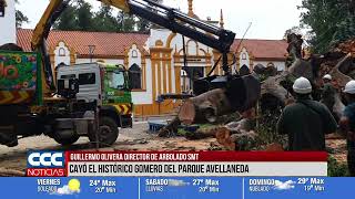 GUILLERMO OLIVERA DIRECTOR DE ARBOLADO SMT