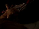 Jack slapped by Jill
