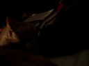 Jack slapped by Jill