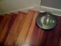 7 Reasons why YOU need a Roomba Robotic Vacuum