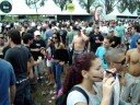 Tribe - 11/10/2008
