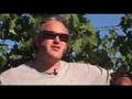 2007 Rustenberg Harvest (Ep. 3)