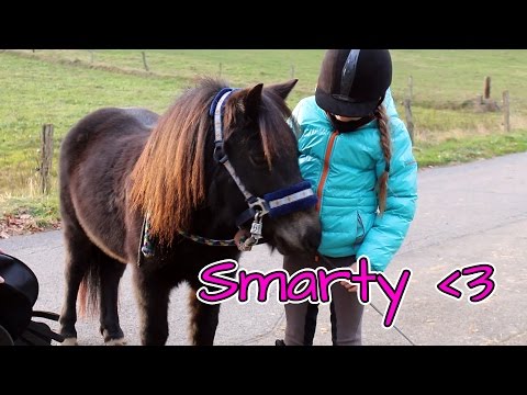 Sattel anpassen | Smartys Sattel rutscht | Marina und die Ponys