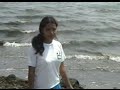 reserva de paracas