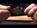 Click here to watch this video Voutilainen watches presentation at BaselWorld 2012 (Basel, March 2012)