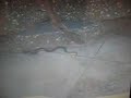 snake gone wild !