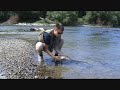 Brown Trout Fishing In Southland