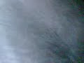 l\