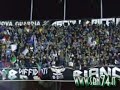 Ascoli fans