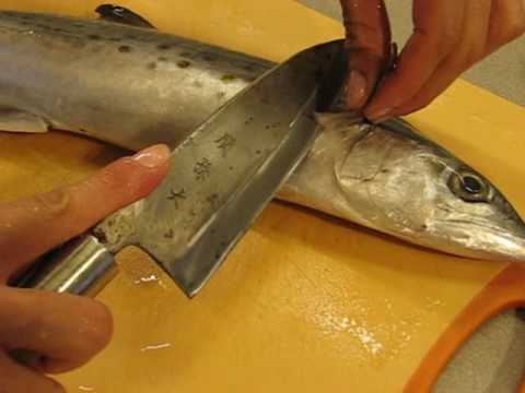 fish - Super easy and fast way to filet a fish. Misa will reveal a secret Japanese technique to season, cure and grill Spanish Mackerel, too. Filet a whole fish and...