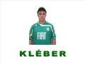 Elenco do Penta - Palmeiras 2008