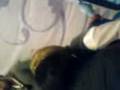 videos de Alexander Acha en saltillo