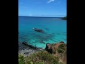 videos de Waimea Bay, North Shore O'ahu