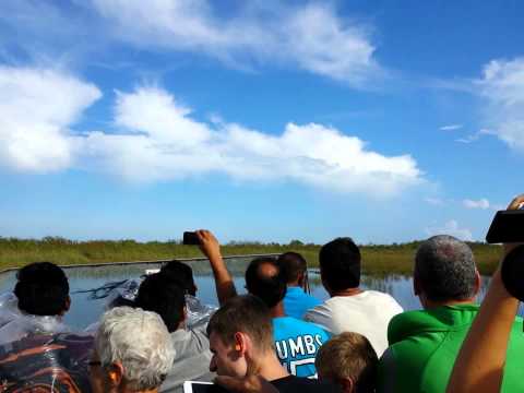Everglades Florida Airboat Tour Ride at Gator Park