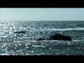 PLAYA LAS CANTERAS / LOS GAFIONES