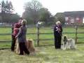 Afgano video