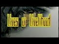 Ancient Dragon Raja Guide Ancient Dragon Raja Guide