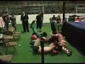 Canadian Superstars vs Johnny Cockstrong/Soy Boy MV