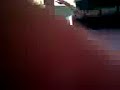 david bailando sonido tylay