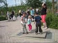 Blijdorp Zoo Rotterdam