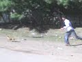 CoRRida de PeRRos