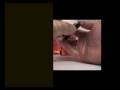 videos de 1996/97 Topps Chrome Basketball Box Break Part 1 30th Nov 08