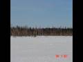 a view of tug hill ny on snowmobiles