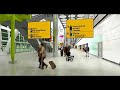 3D Walkthrough - Terminal 5 Arrivals
