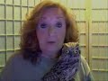 Owl Impression (for wisemanthree) Owl Impression (for wisemanthree)