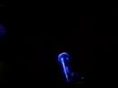 Come and Shine \